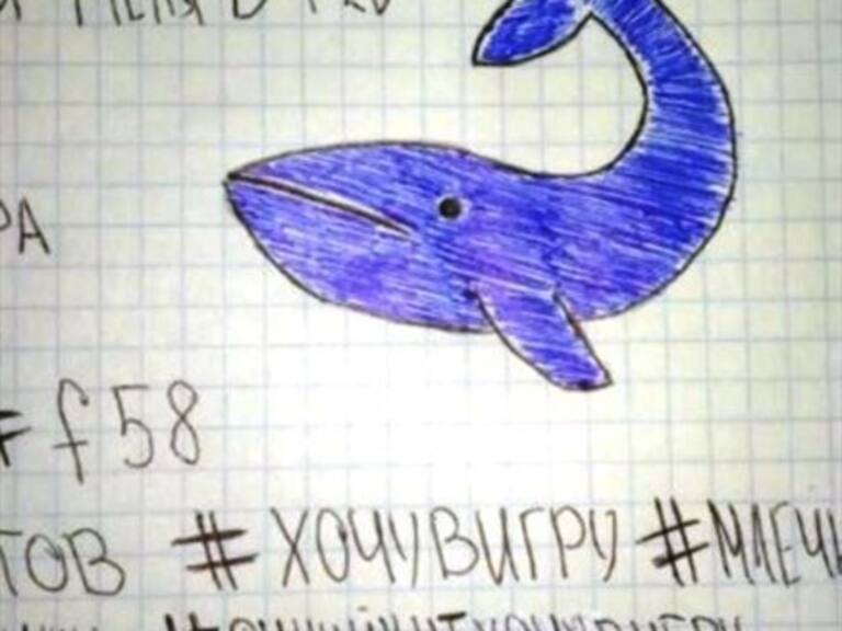 Ballena Azul: Los 50 desafíos del macabro juego suicida