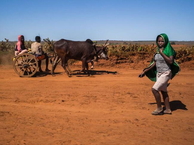 La grave sequía afecta la capacidad alimentaria de Madagascar