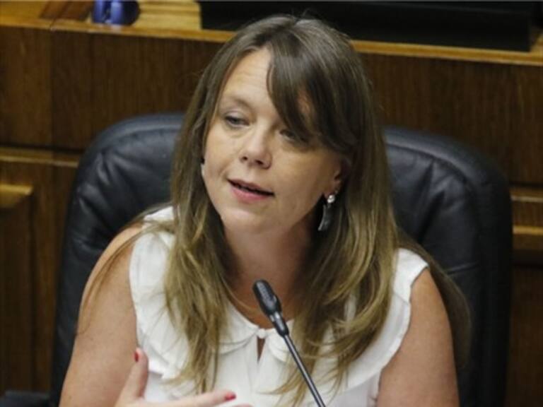 Von Baer sobre Constitución: Cuando firmamos el acuerdo, pensamos que iba a disminuir la violencia