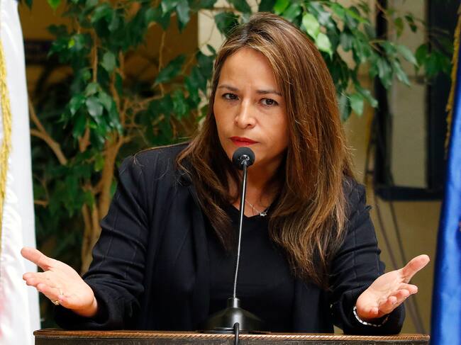 Agencia Uno | La diputada Joanna Pérez (Demócratas)
