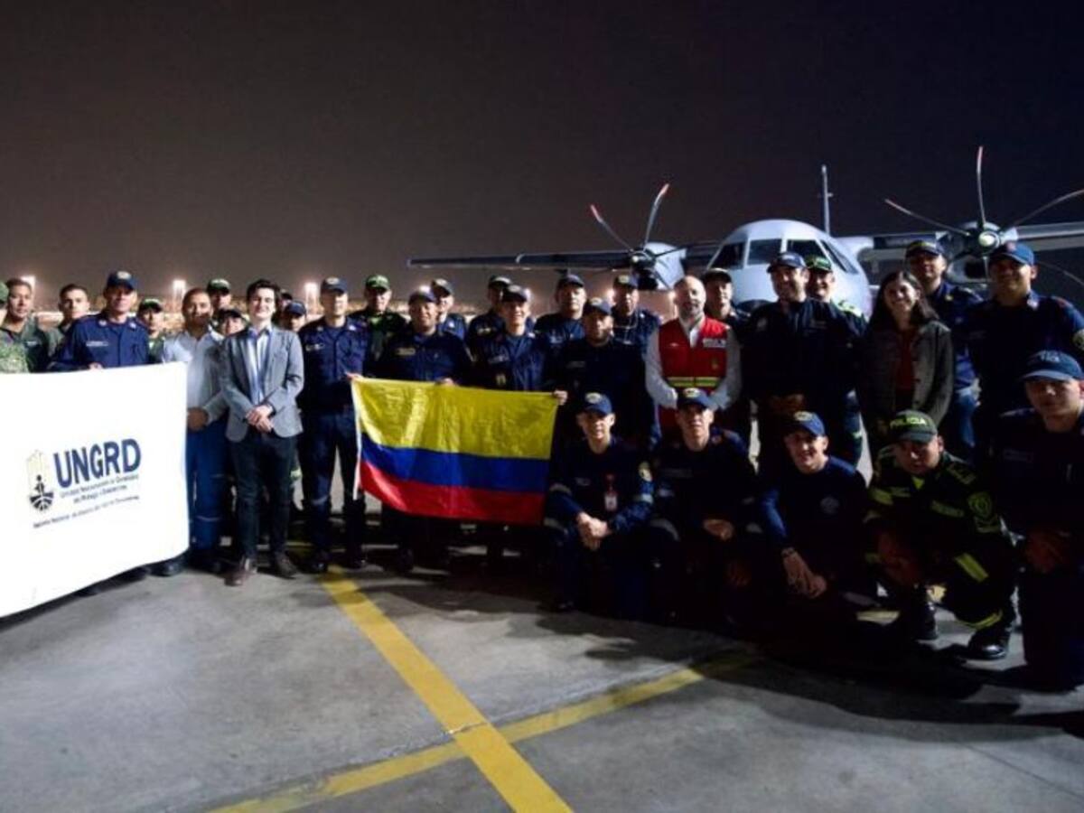 Incendios forestales: llega a Chile brigada de bomberos forestales colombianos