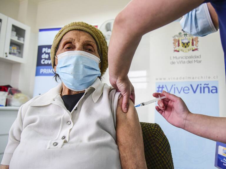 vacunación en viña