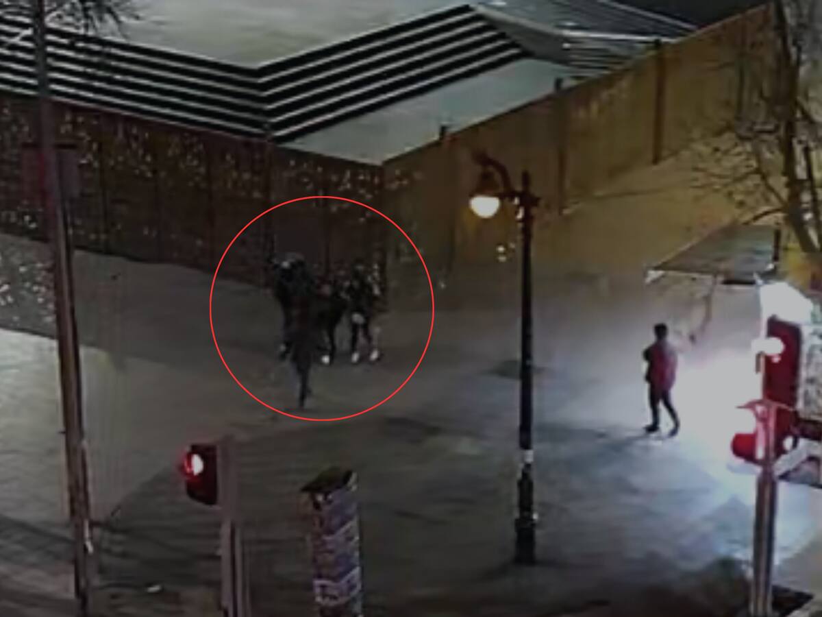 La “Jauría de Bellavista” ataca de nuevo: video captó robo en manada a turista brasileña