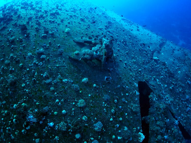 Increíble hallazgo en el fondo del mar: encuentran la ciudad submarina más grande del mundo