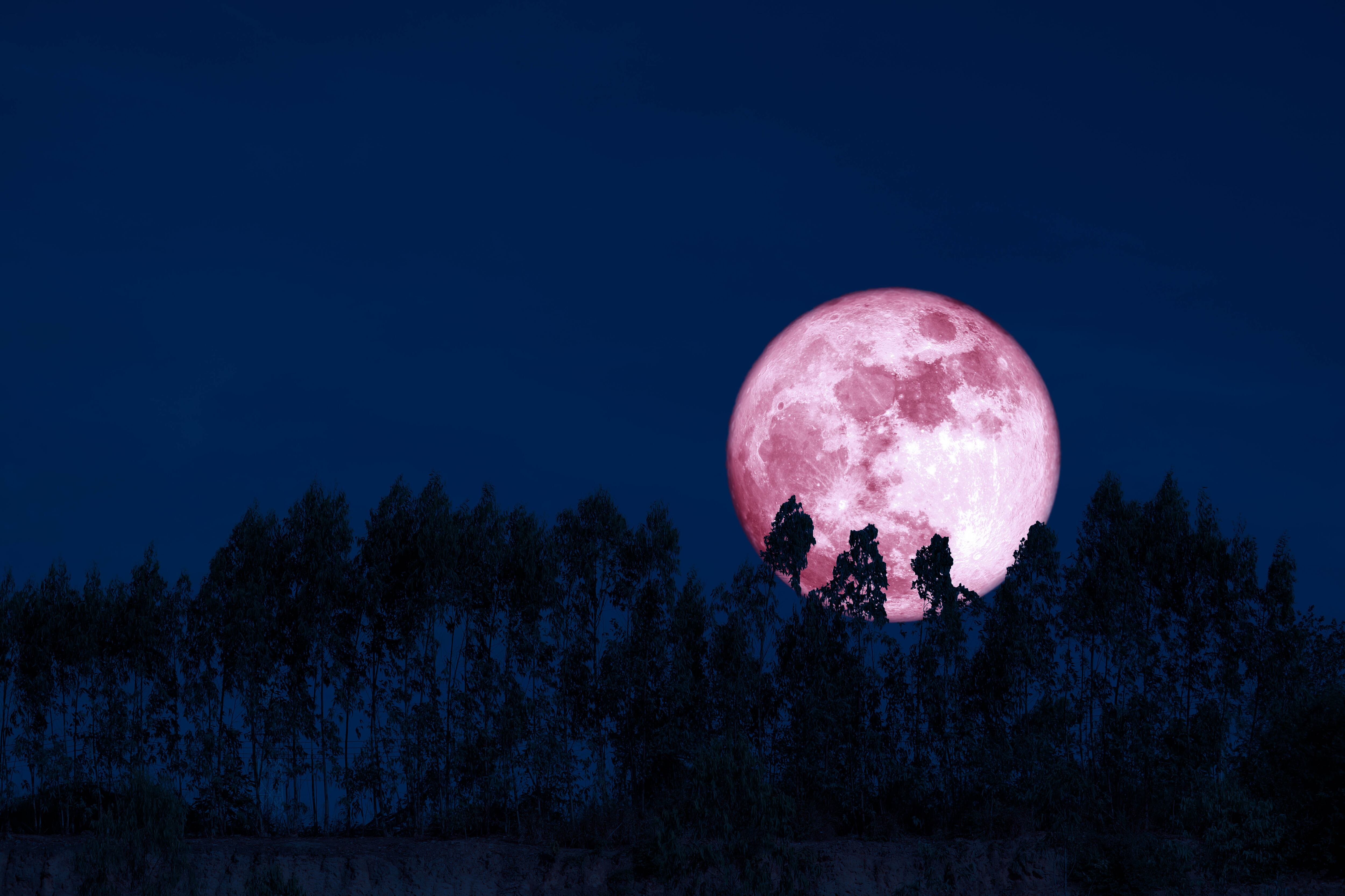 Luna de Fresa