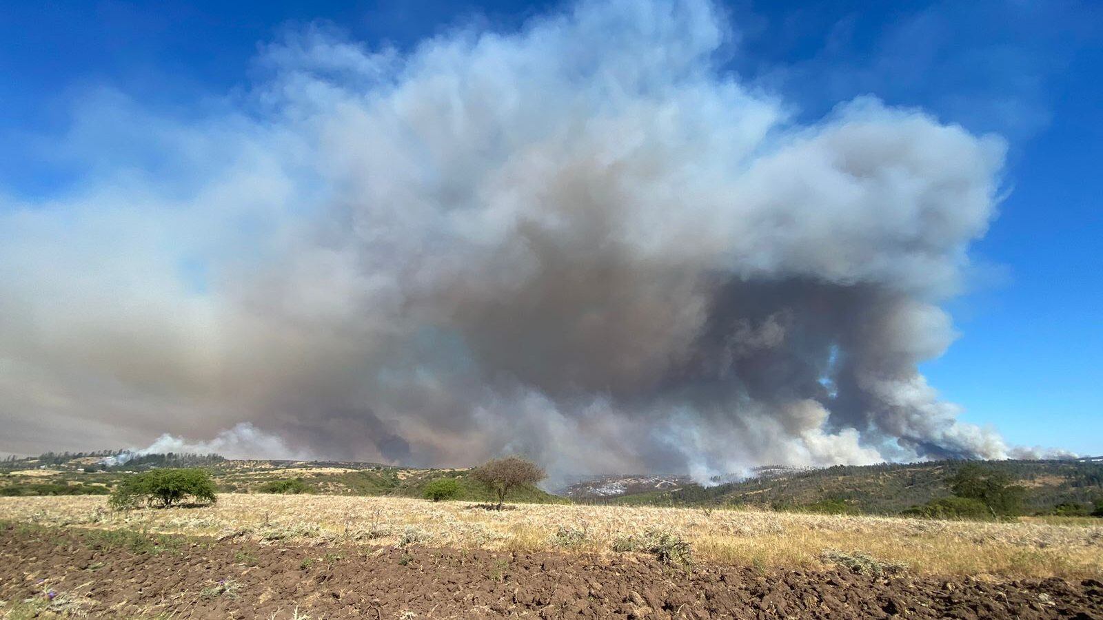 15 de DICIEMBRE 2022 / SAN ANTONIO ncendio forestal que afecta a el sector Yali Alto fundo Panguirosa en el limite de la comuna de Santo Domingo con la comuna de San Pedro de Melipilla. 
FOTO: AGENCIA UNO