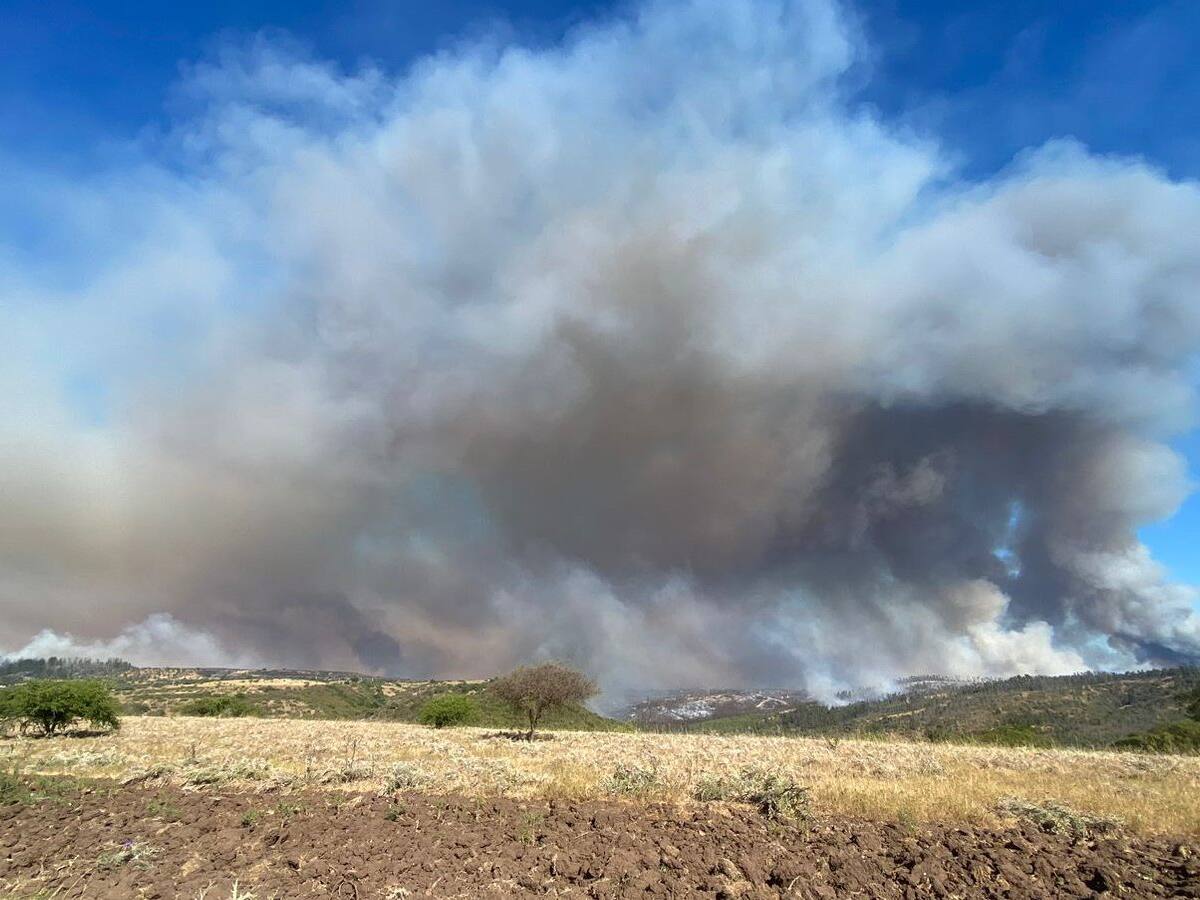 Onemi baja a cinco las Alertas Rojas por incendios forestales