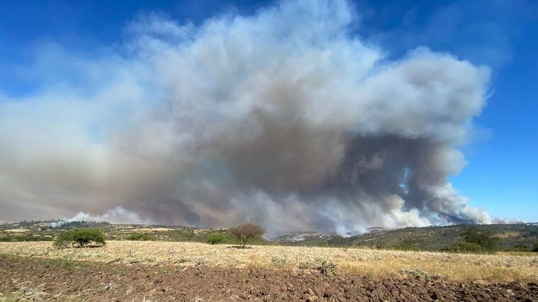 15 de DICIEMBRE 2022 / SAN ANTONIO ncendio forestal que afecta a el sector Yali Alto fundo Panguirosa en el limite de la comuna de Santo Domingo con la comuna de San Pedro de Melipilla.
FOTO: AGENCIA UNO