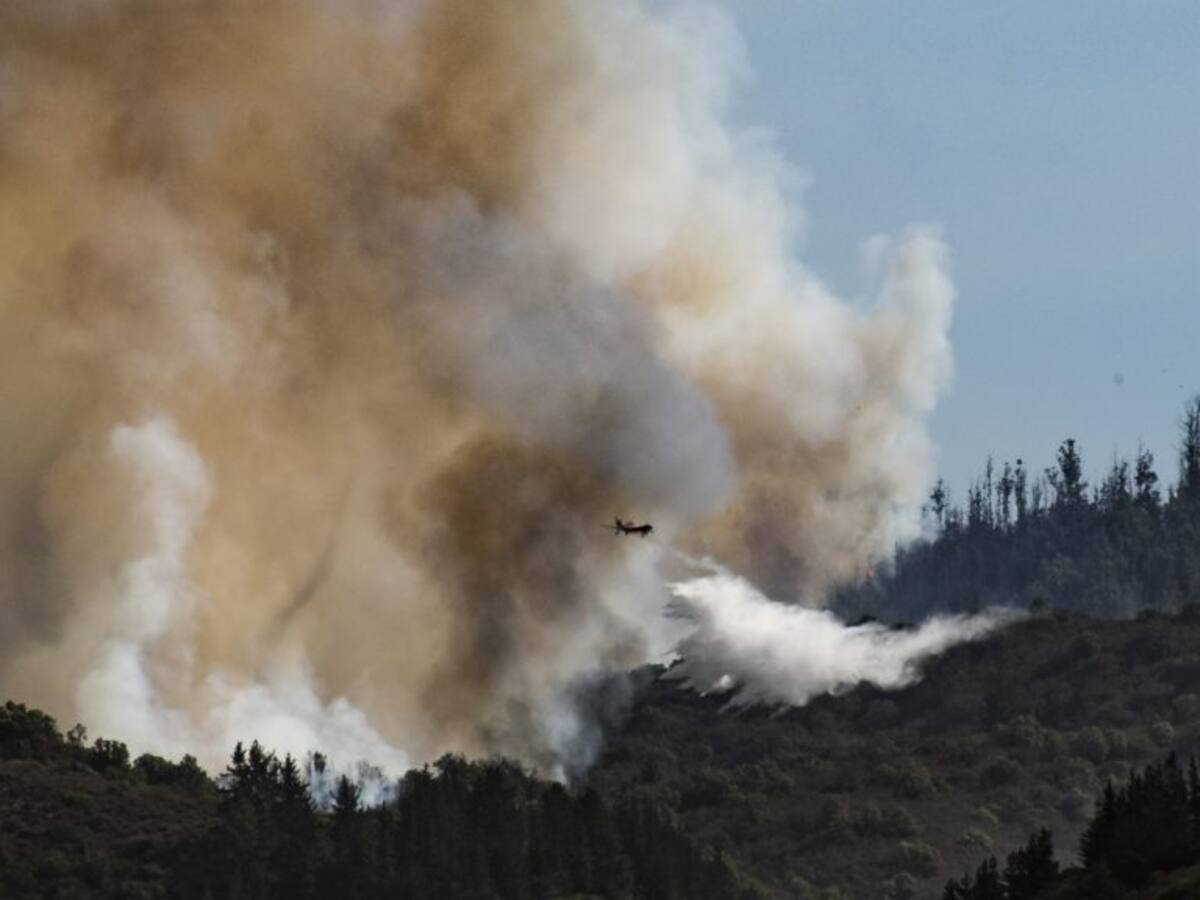 Onemi declaró Alerta Roja para las comunas de Valparaíso y Curacaví por incendios forestales