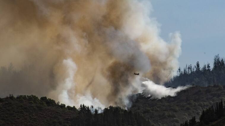 16 DE DICIEMBRE DE 2020 / QUILPUE Incendio Forestal se mantiene activo en sector de Hacienda Las Palmas desde la tarde de ayer, consumiendo mas de 150 hectareas manteniéndosela la Alerta Roja en la regionFOTO: MIGUEL MOYA / AGENCIAUNO