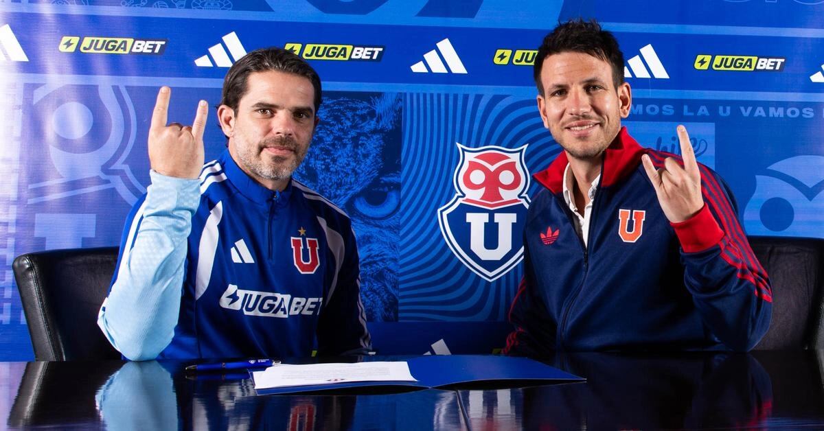 @udechile