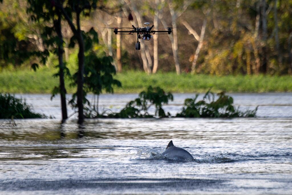 Delfín del Amazonas