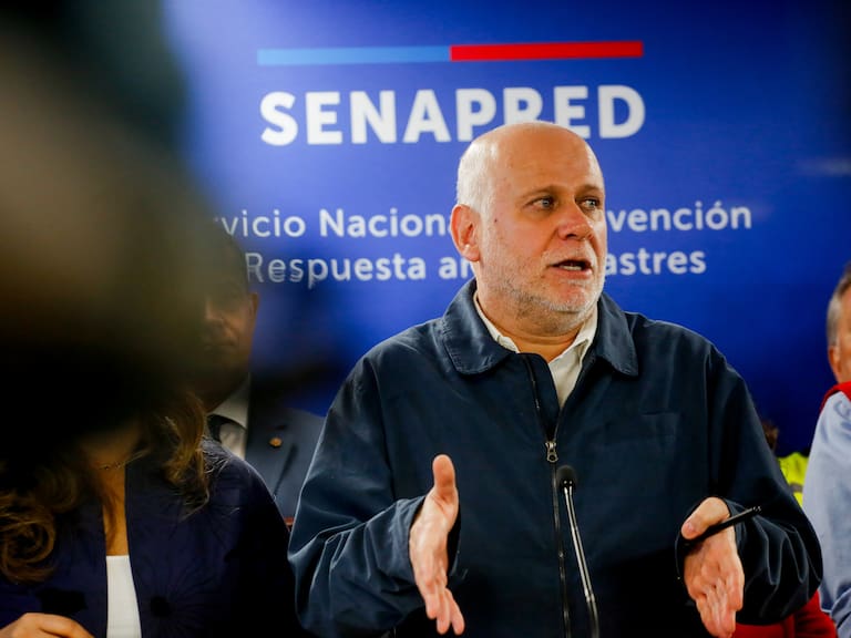 Balance de los incendios forestales en región del Biobío y del Ñuble