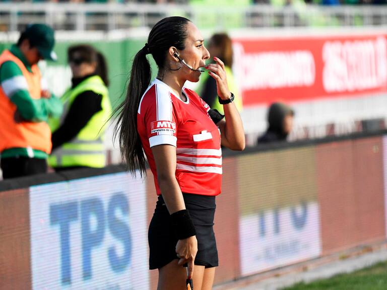 Corte de Apelaciones rechaza recurso de Julio Bascuñán en contra de Cindy Nahuelcoy