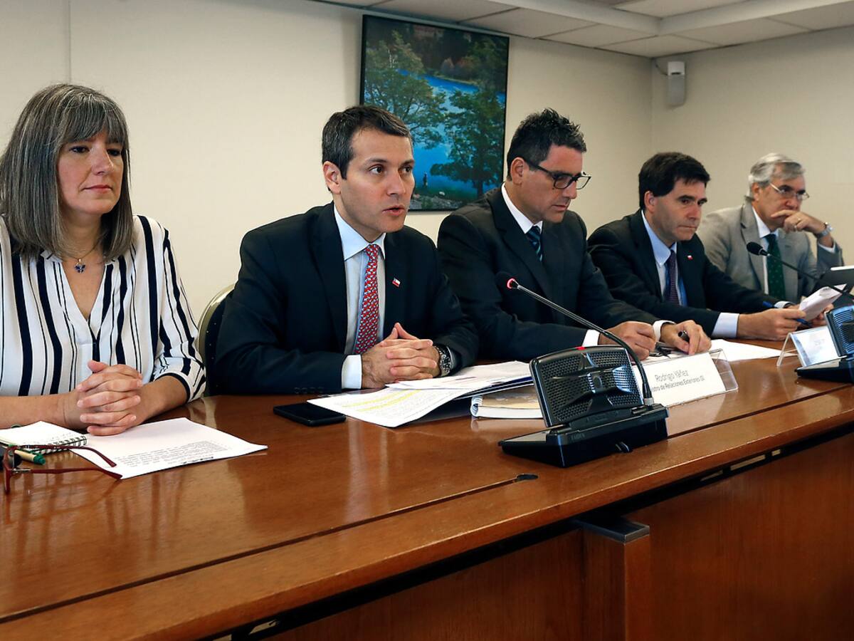 Organismo que promueve exportaciones chilenas solidarizó con China debido a brote de coronavirus