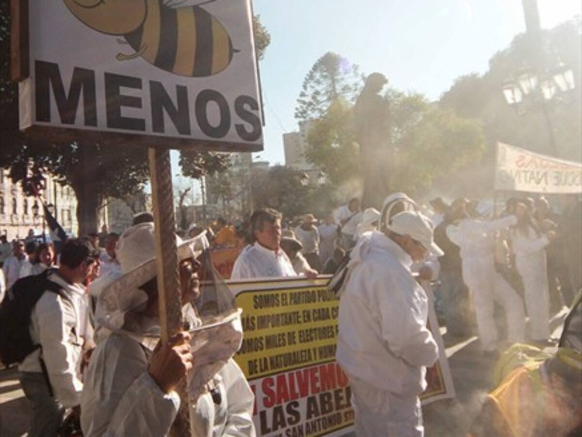 Sharon Rodríguez de Fraunhofer Chile: «En Chile existe un alto número de abejas nativas»