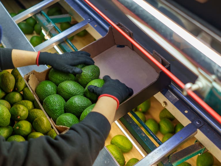Frutas de Chile revela tres productos claves que lograron quedar fuera del alza de aranceles de Estados Unidos
