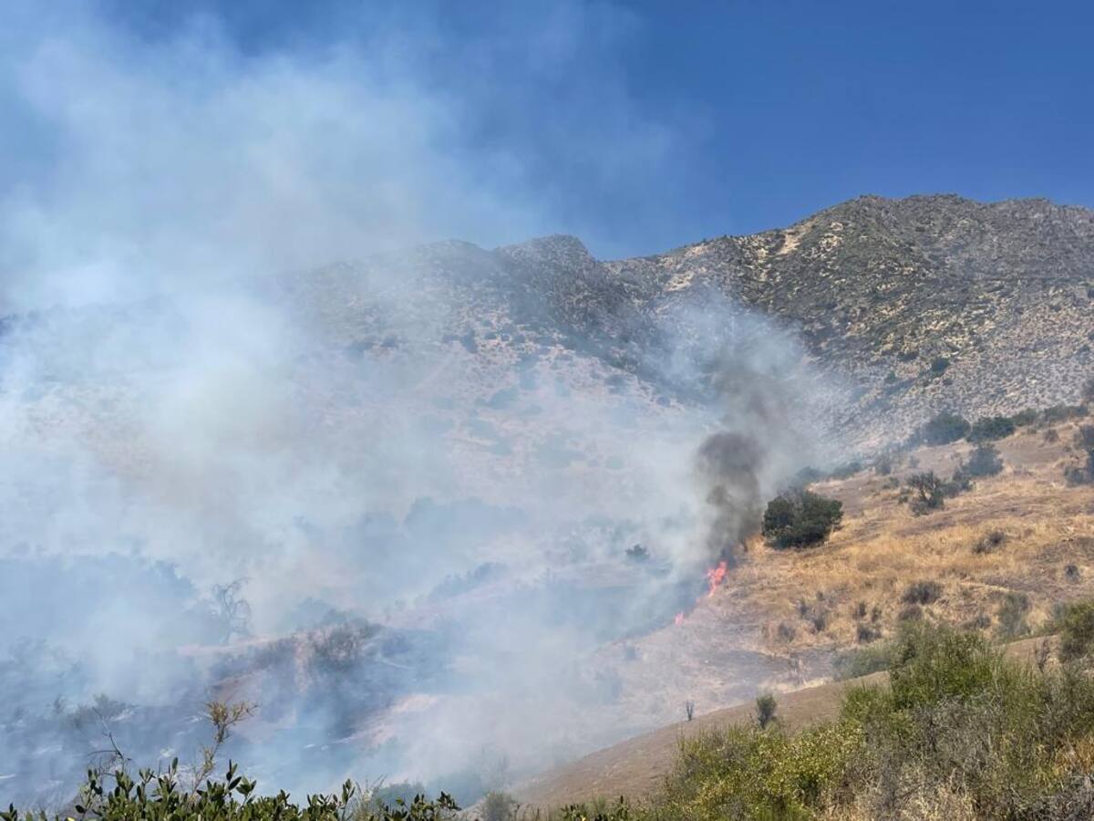 Incendio forestal en Parque Mahuida moviliza a varias unidades de bomberos