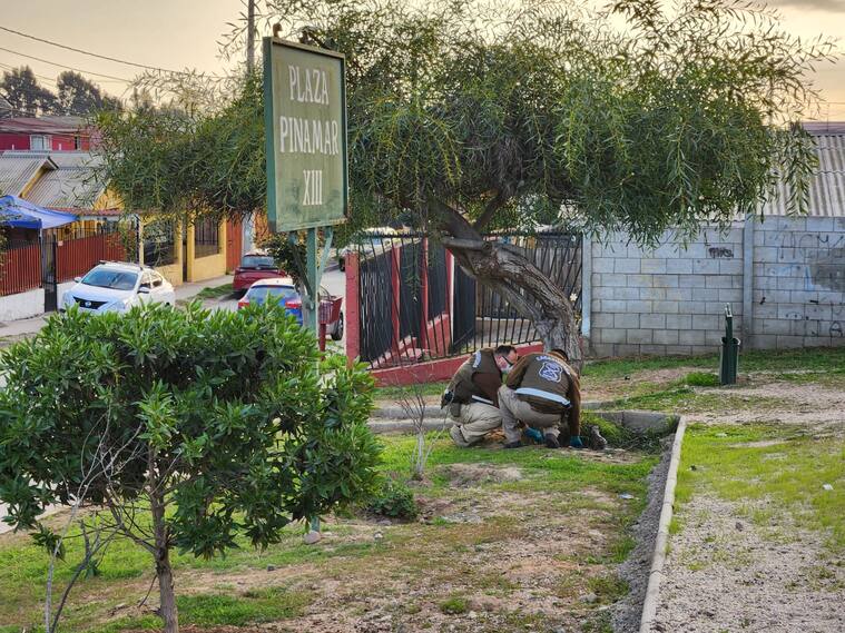 Carabineros encuentra feto de cuatro meses de gestación en una plaza de La Serena