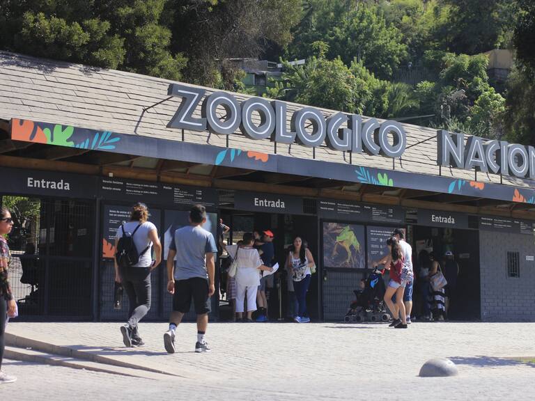 ¡Ideal para las vacaciones escolares! Zoológico del Parquemet tendrá entrada gratuita por tiempo indefinido