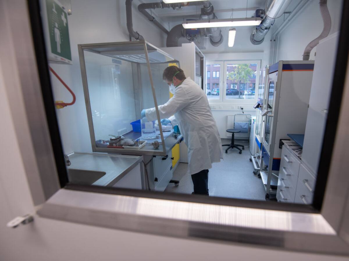 Un estudio del genoma del cáncer abre la opción de detectar un tumor antes de que aparezca en las personas