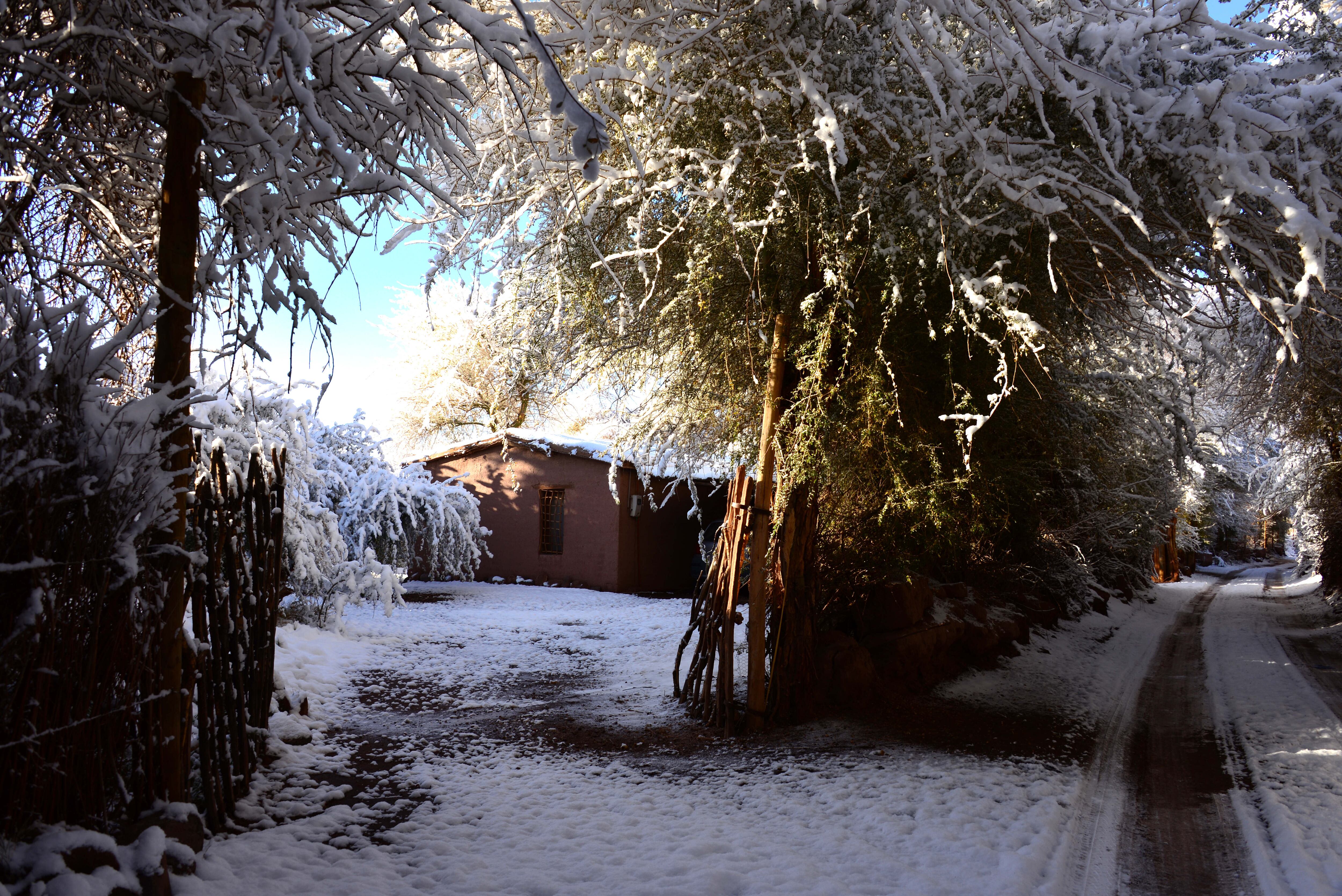 25 de Mayo del 2014/ SAN PEDRO DE ATACAMAVista de una casa de adobe y unos arbustos cubiertos con nieve, en el sector de el Ayllu de Sequitor, ubicado en la comuna de San Pedro de Atacama donde amaneció con una densa capa de nieve.
FOTO:CARMEN GLORIA LOPEZ/AGENCIAUNO
