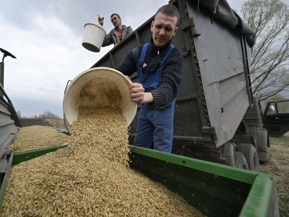 Ucrania denunció a Rusia por el robo de toneladas de cereal en los territorios ocupados