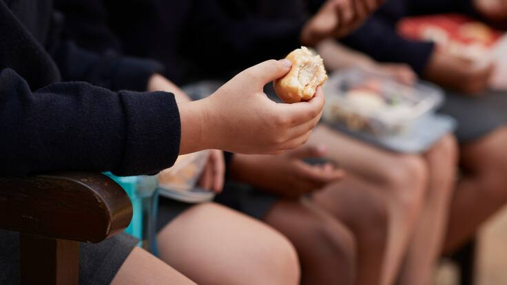 Jardín infantil usó pintura tóxica en la comida y causó intoxicación masiva en más de 200 niños