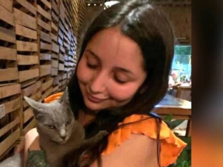 Encuentran con vida a joven perdida en Cochamó