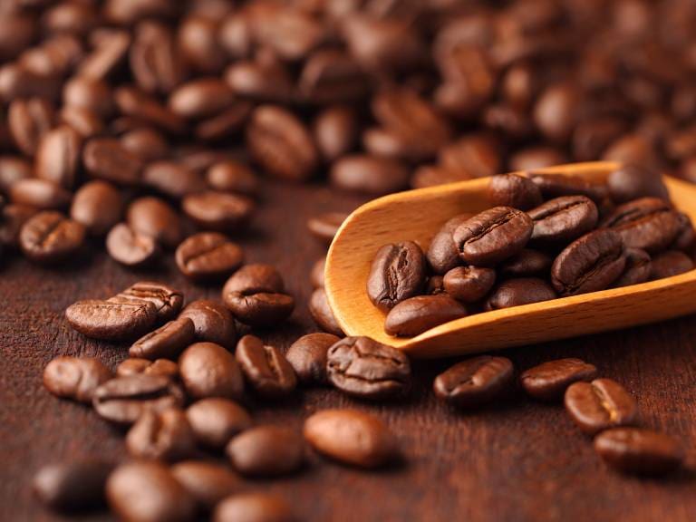 Científicos chilenos revelan nuevos efectos de la cafeína en el reloj biológico humano
