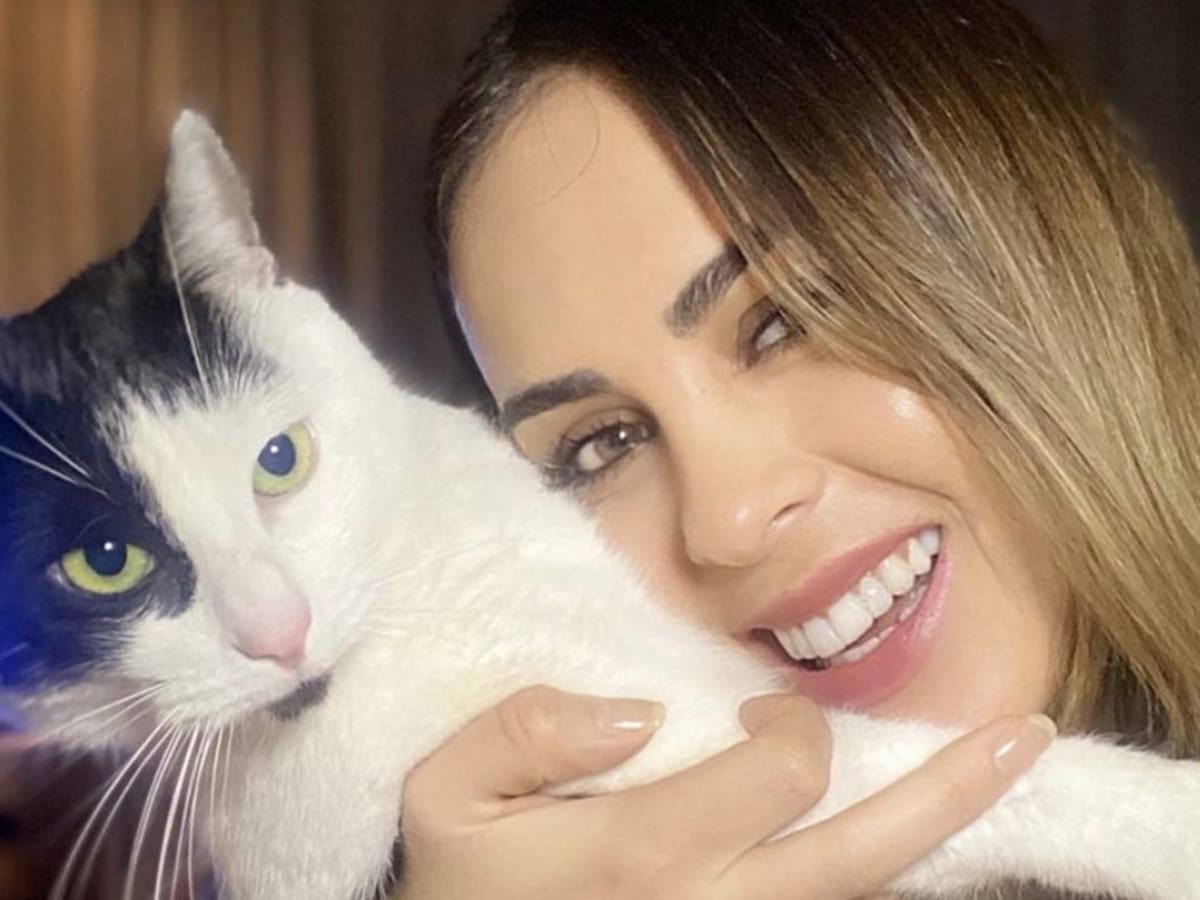 «Maravillozoom»: Maura Rivera animará programa en ayuda de fundaciones animalistas