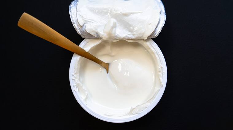 yogurt in bowl on wooden table. healthy eating