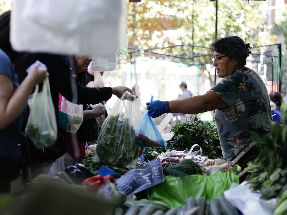 Experto anticipa alzas en frutas y verduras tras el sistema frontal