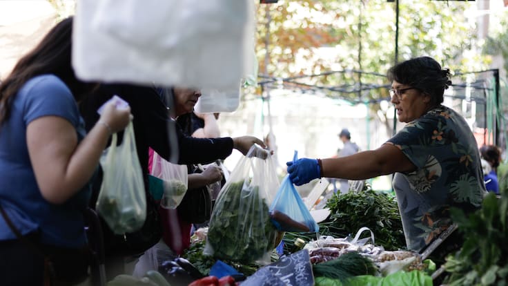 Experto anticipa alzas en frutas y verduras tras el sistema frontal