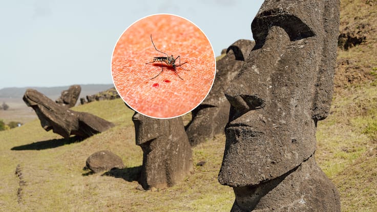 Aumentan a cuatro los casos de dengue en Rapa Nui y refuerzan control sanitario