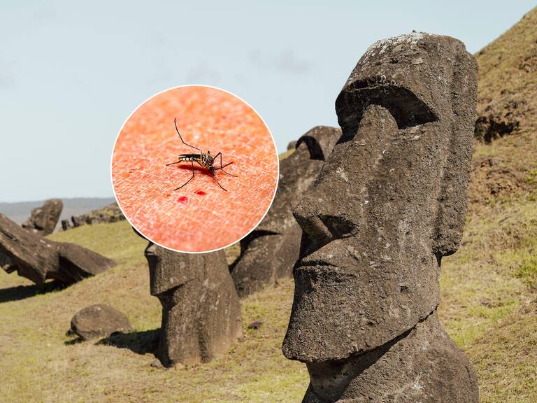 Aumentan a cuatro los casos de dengue en Rapa Nui