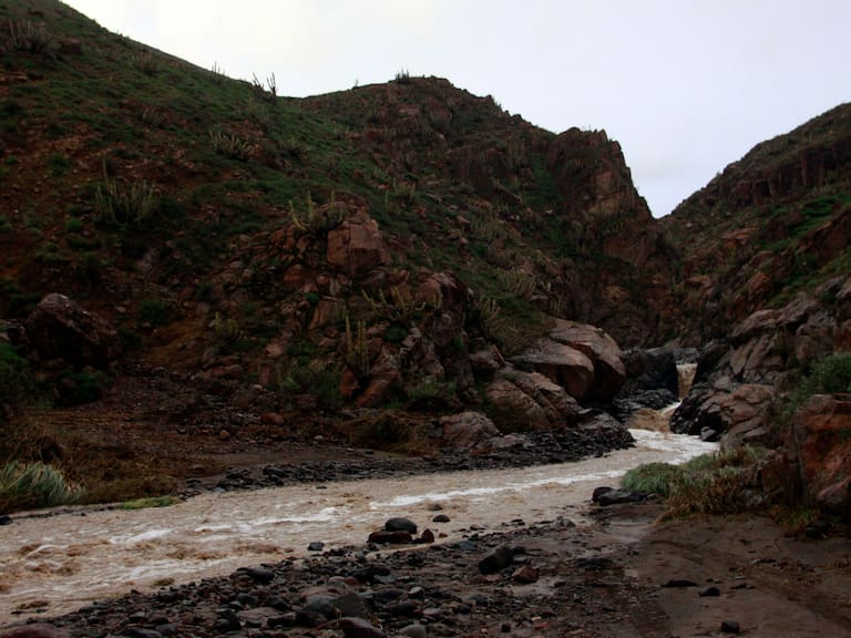 Agencia Uno REFERENCIAL