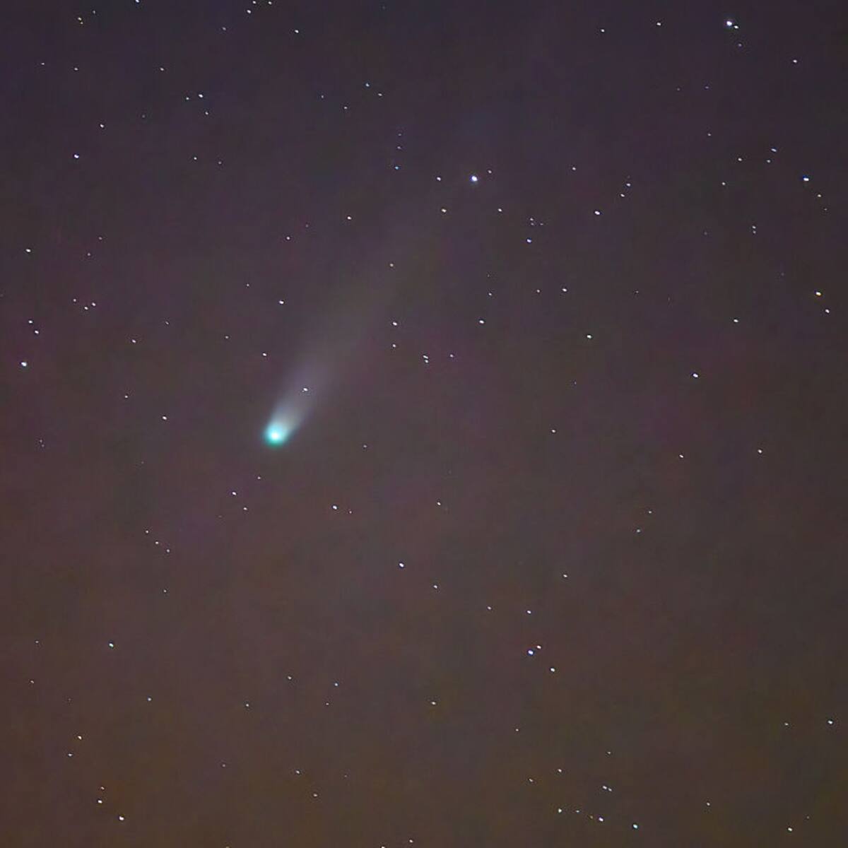 Solo por dos semanas: cómo ver el paso del cometa Lemmon desde Chile