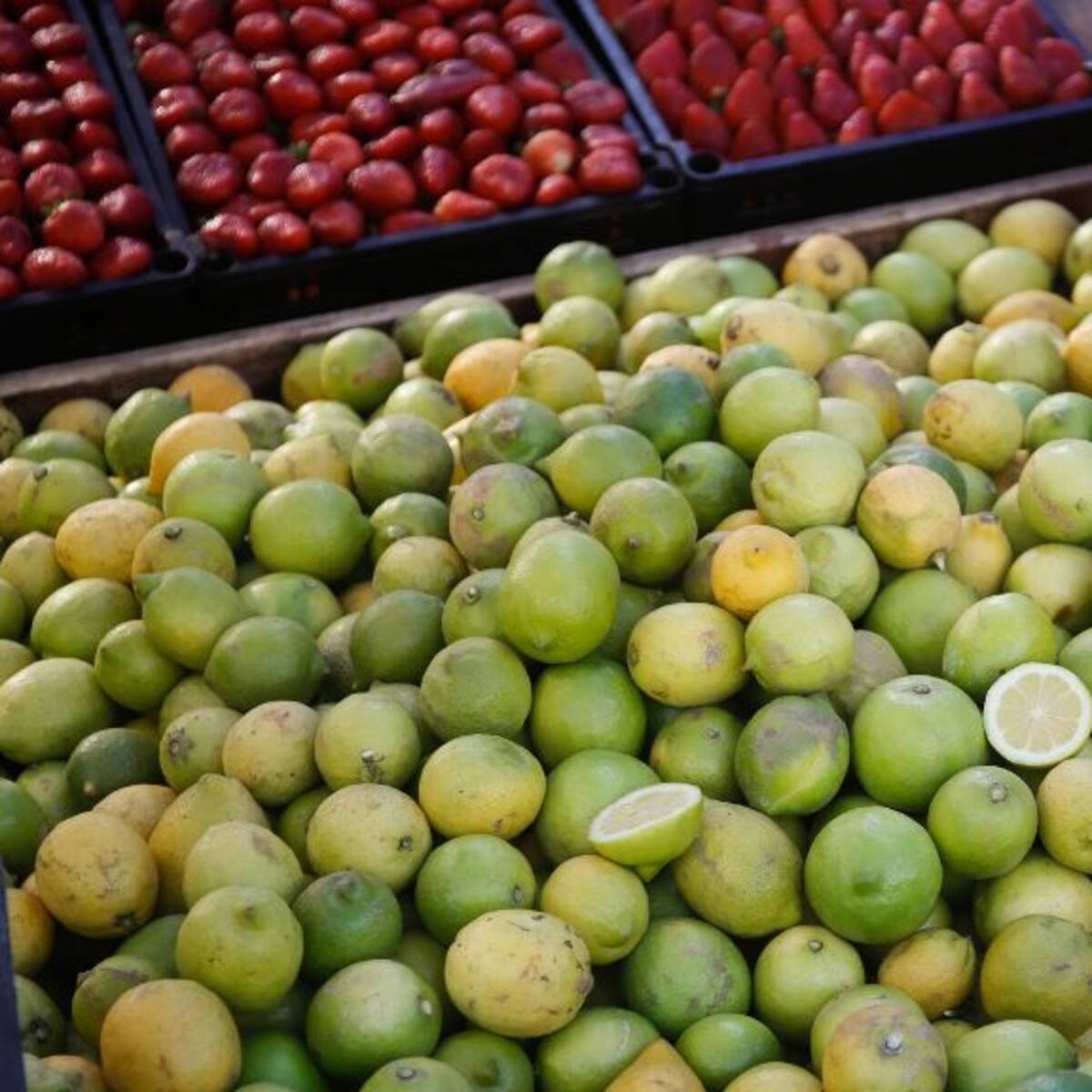 Mejores Alimentos de Temporada: Odepa destaca baja en el precio de carnes blancas y alza en los limones