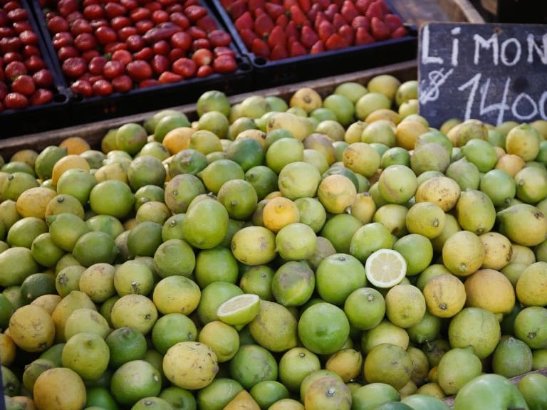 Mejores Alimentos de Temporada: Odepa destaca baja en el precio de carnes blancas y alza en los limones
