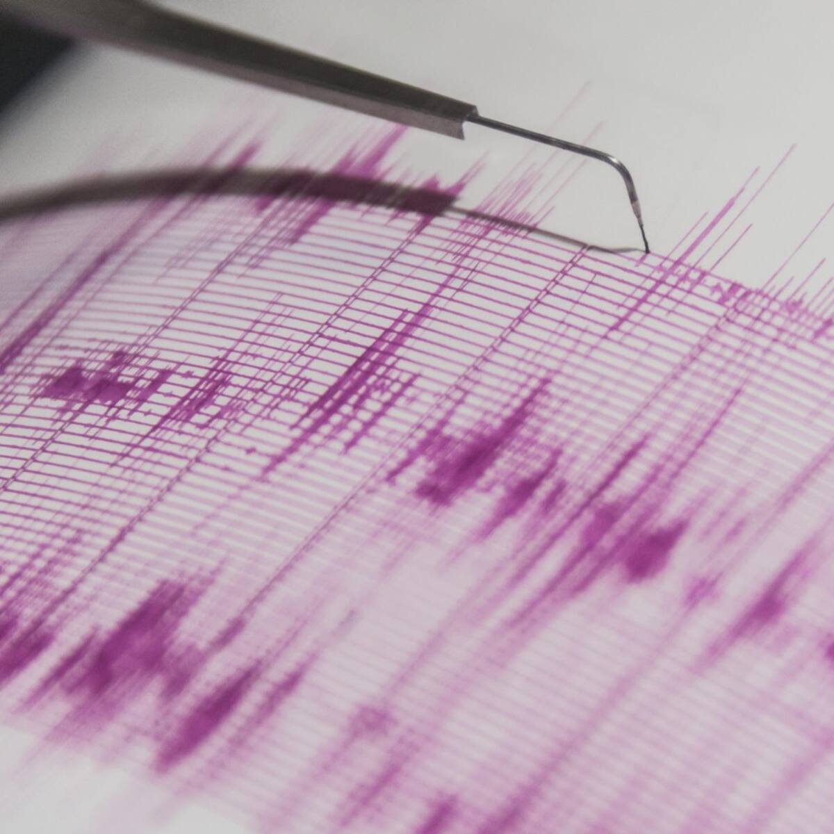 Temblor se percibe en la región de Coquimbo: revisa acá la magnitud y el epicentro del sismo