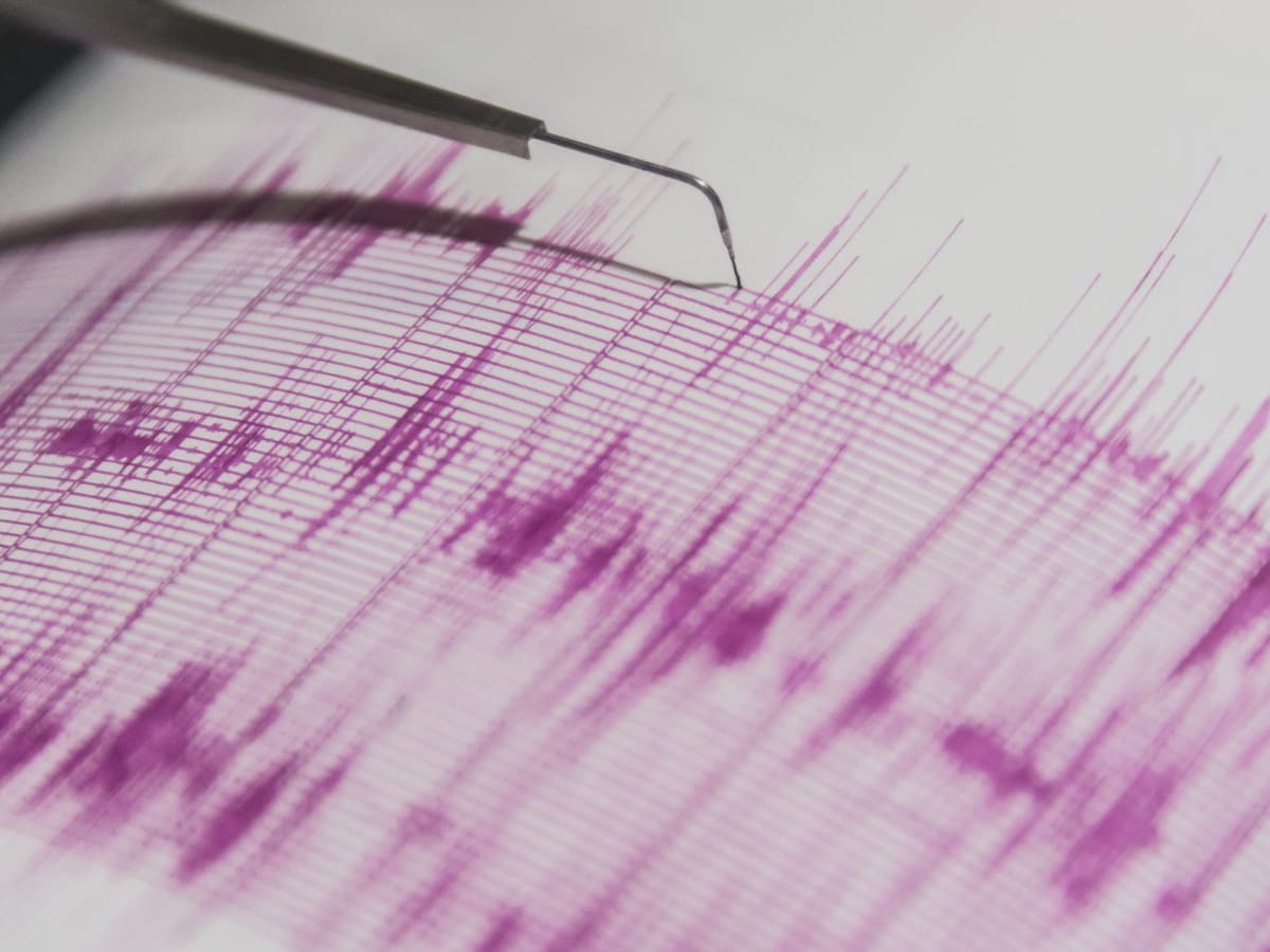 SHOA descarta riesgo de tsunami en Chile tras terremoto registrado en Nueva Zelanda