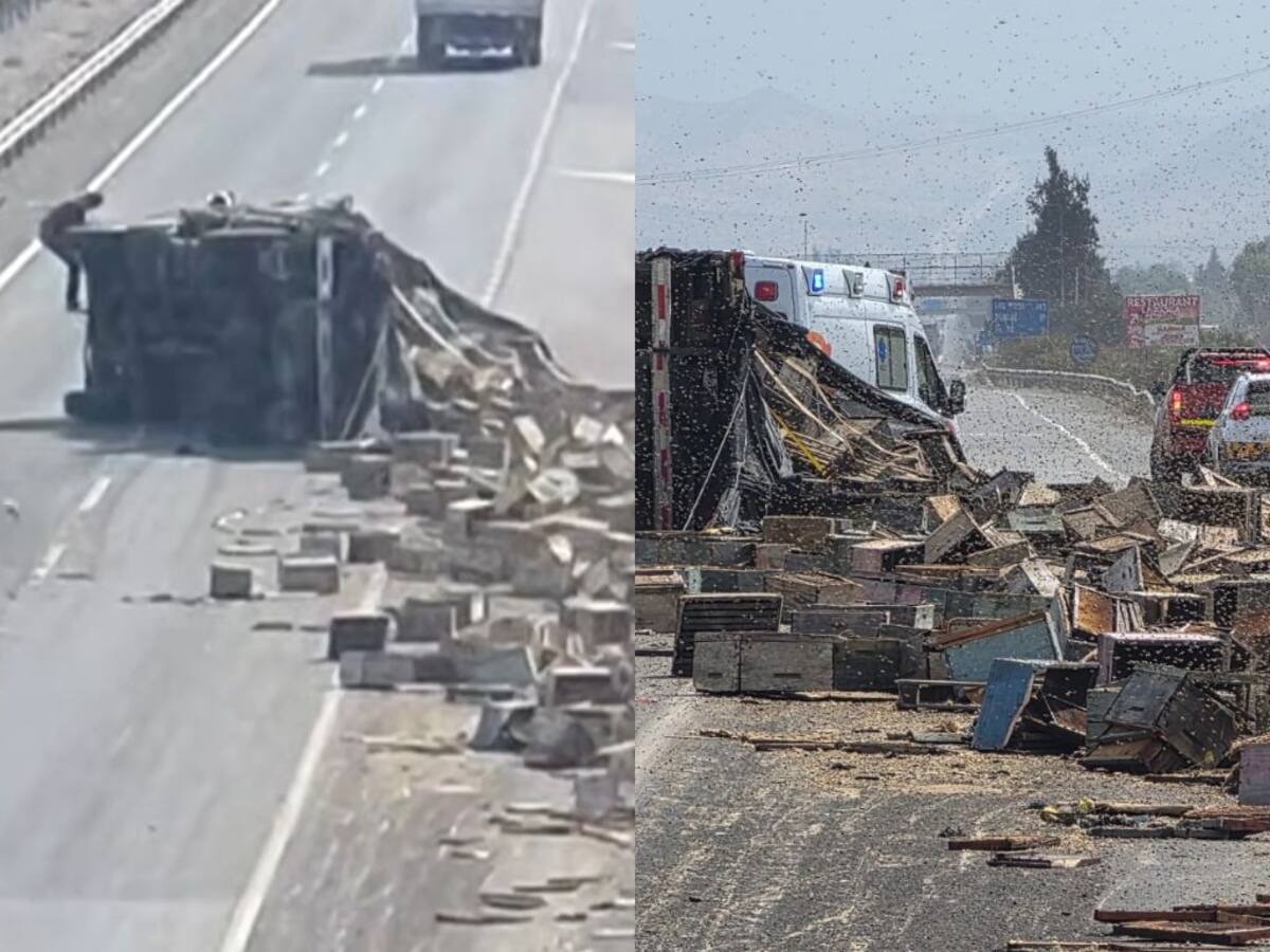 Volcamiento de camión con abejas obliga a cortar Ruta 5: miles de insectos quedaron sueltos en la carretera