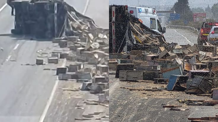 Volcamiento de camión con abejas obliga a cortar Ruta 5: miles de insectos quedaron sueltos en la carretera