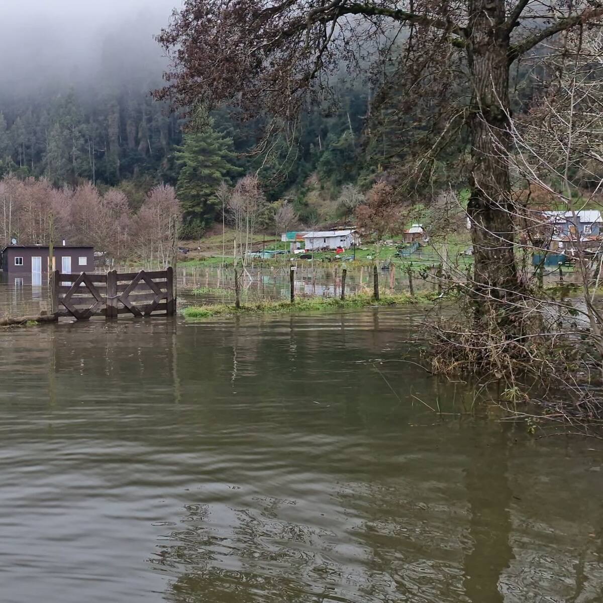 Senapred decreta Alerta Roja en comuna de San Pablo por desborde del río Bueno: 15 familias quedaron aisladas