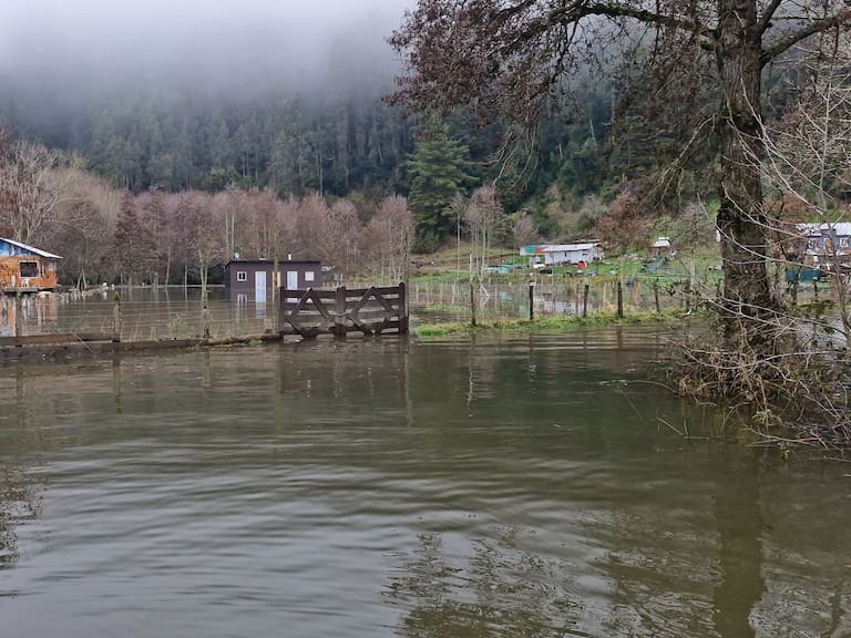Desborde de Rio Bueno
