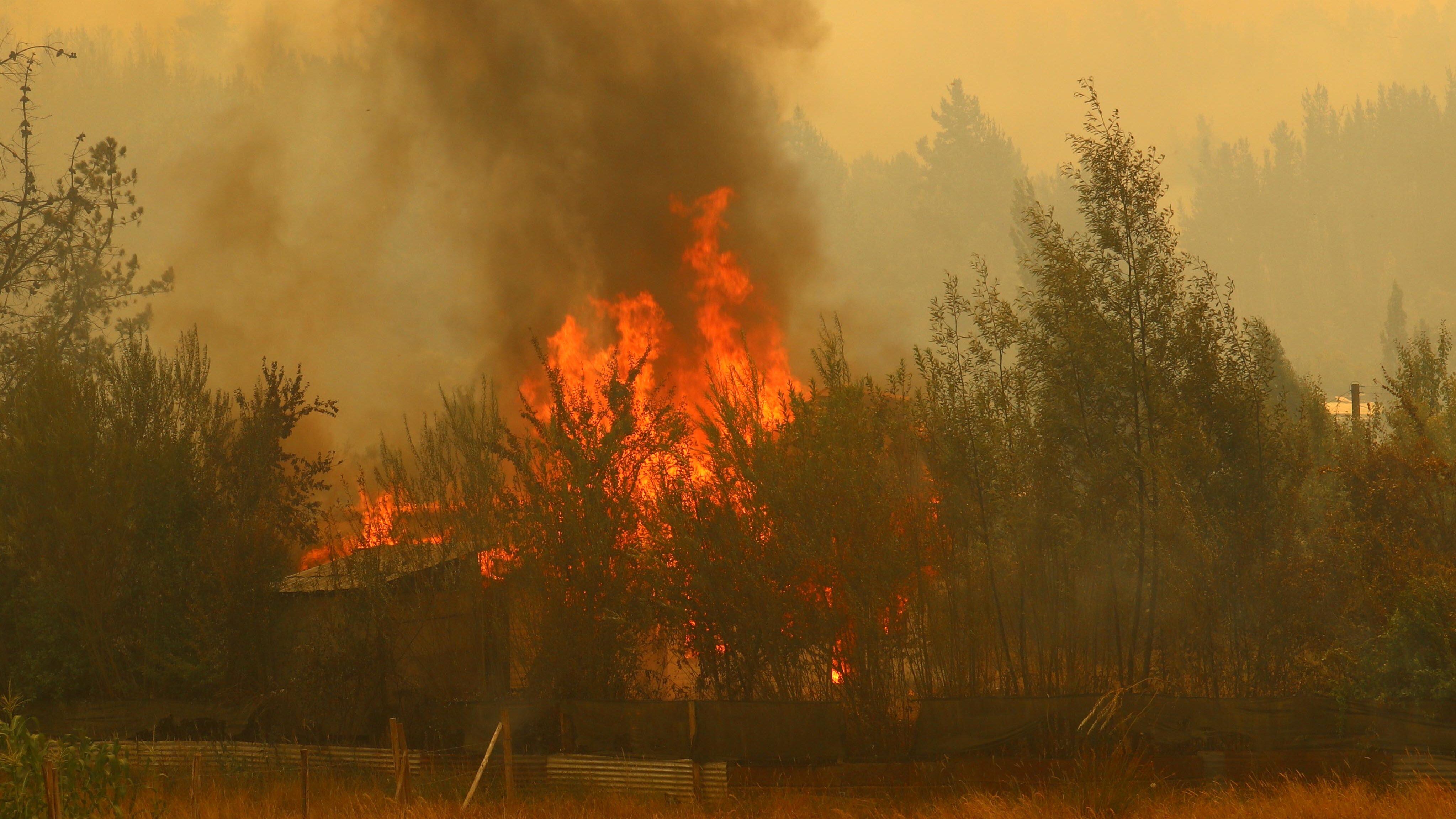 03 de Febrero de 2023/SANTA JUANACientos de personas han debido evacuar sus casas debido al incendio forestal que se encuentra descontrolado. La autoridad confirmó 4 fallecidos en la zona
FOTO;RODRIGO GARRIDO/AGENCIAUNO
