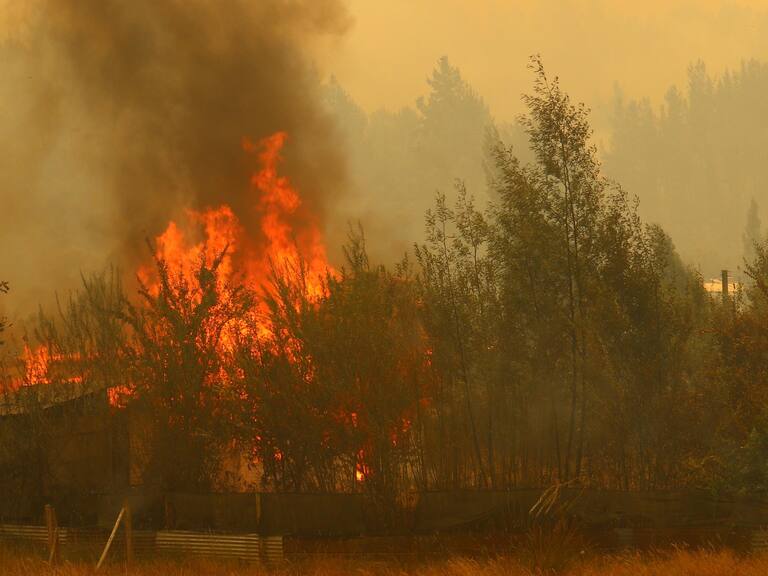 Fiscal Regional de Valparaíso, Claudia Perivancich anuncia que desde este lunes se entregarán cuerpos de fallecidos en incendios forestales