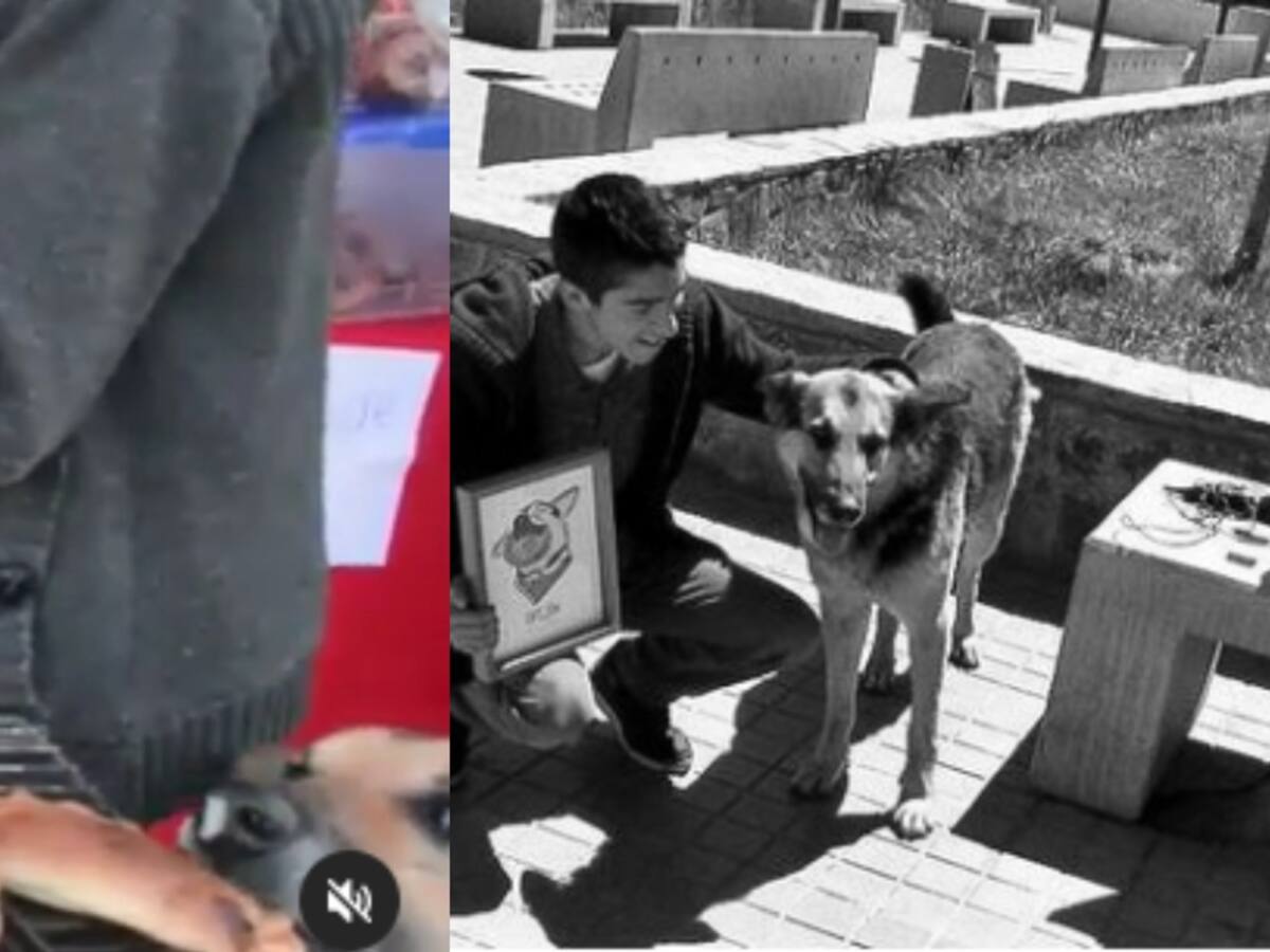 Descansa en paz Orejón: fallece perro que se volvió viral por robar una empanada
