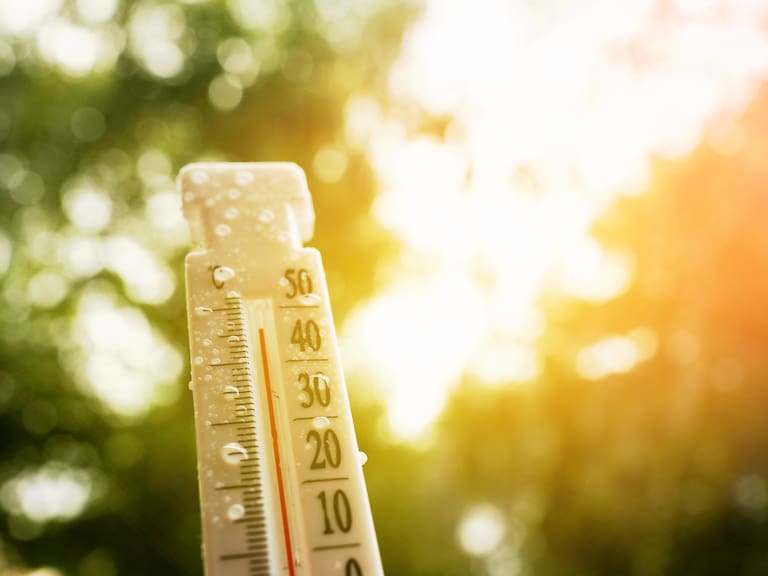 Alerta Roja en la Región Metropolitana: calor extremo golpeará Santiago por varios días